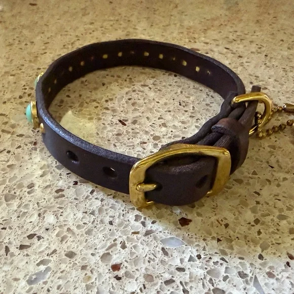 NWT California Collar Co.5/8 Diego Leather Dog Collar with Turquoise